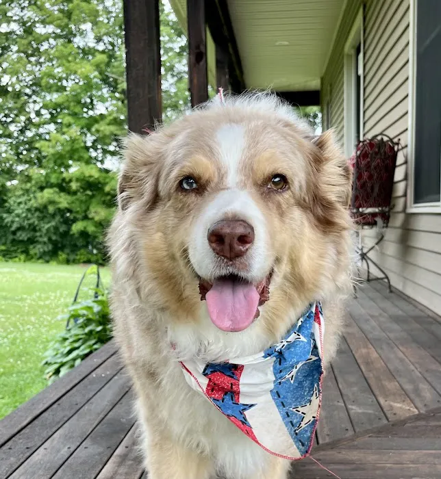 Landau Veterinary Services 1