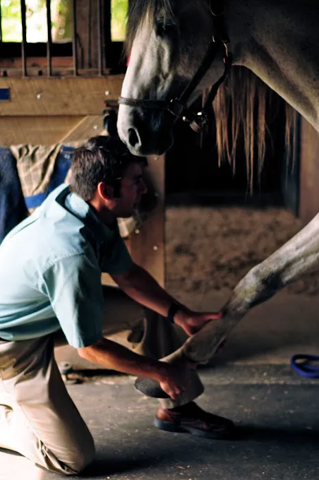 Landau Veterinary Services 9