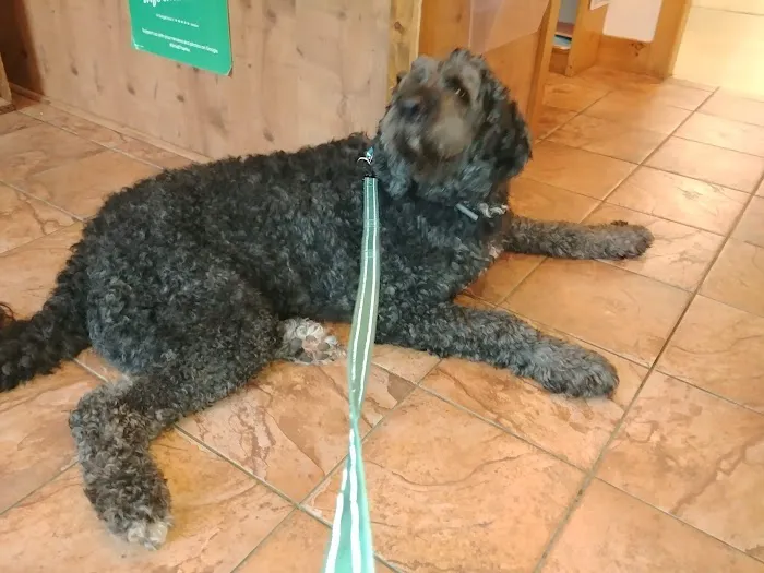 Westbrook Veterinary Hospital 7