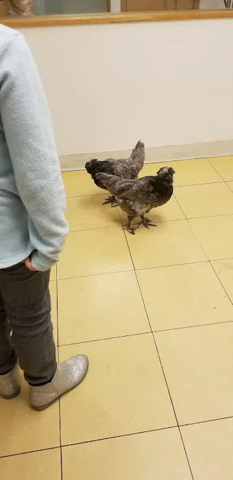 Hampshire Veterinary Hospital 6
