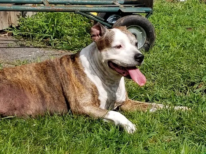 River Road Veterinary Center 1