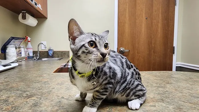 River Road Veterinary Center 7