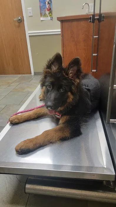 River Road Veterinary Center 5
