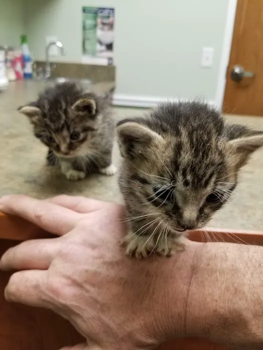 River Road Veterinary Center 4