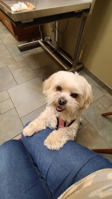 River Road Veterinary Center 6
