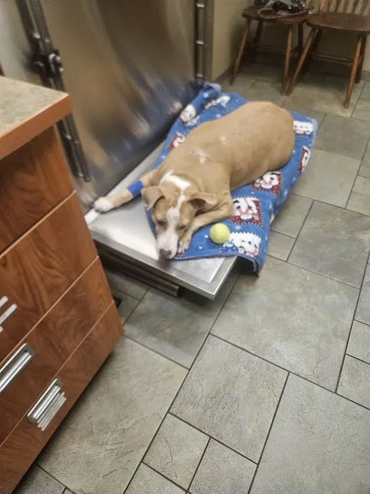 River Road Veterinary Center 9