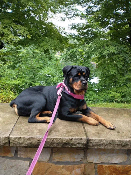 VCA Ballston Spa Animal Hospital 1