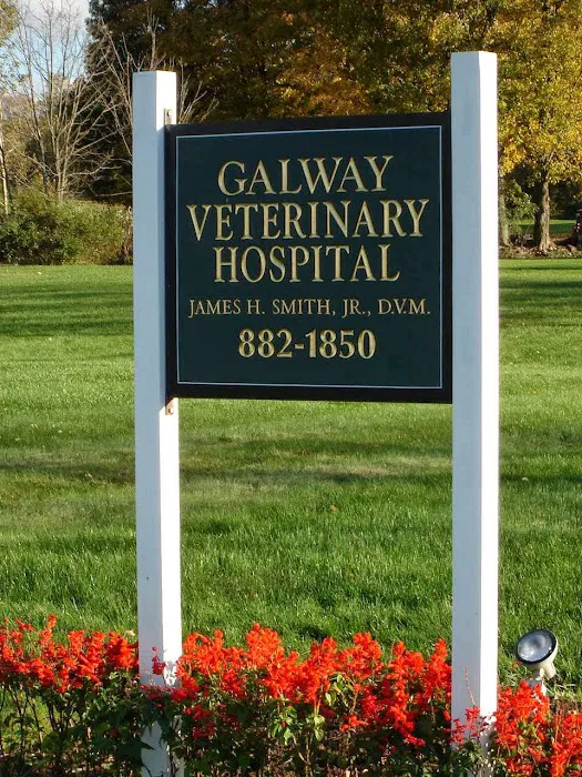 5072 rt 147 Galway Veterinary Hospital 5