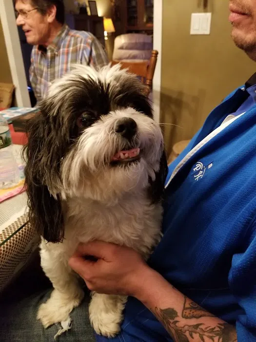 Milton Veterinary Hospital PC 10