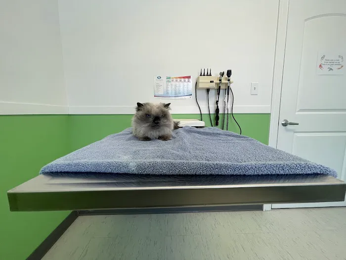 Milton Veterinary Hospital PC 3