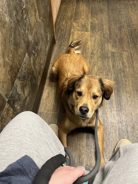 Adirondack Veterinary Clinic 3