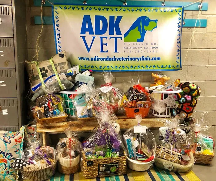 Adirondack Veterinary Clinic 4