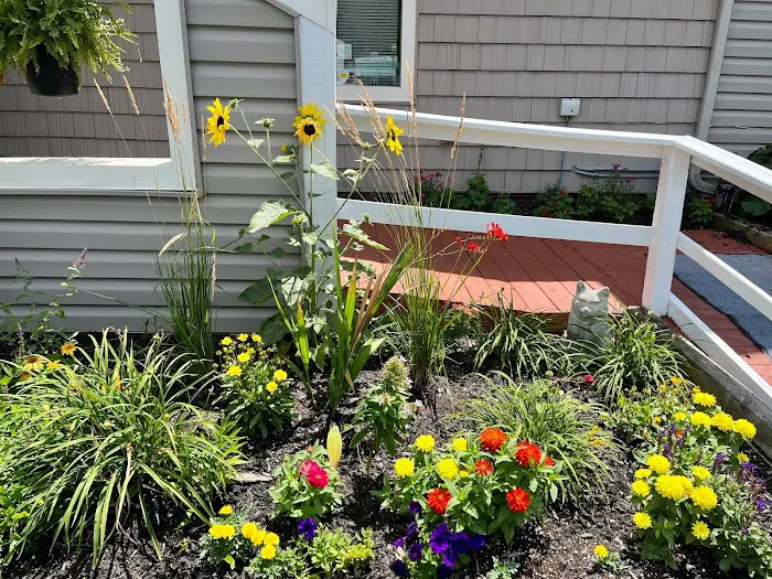 Adirondack Veterinary Clinic 8