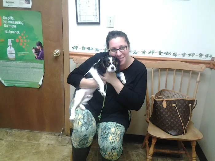 Adirondack Veterinary Clinic 10