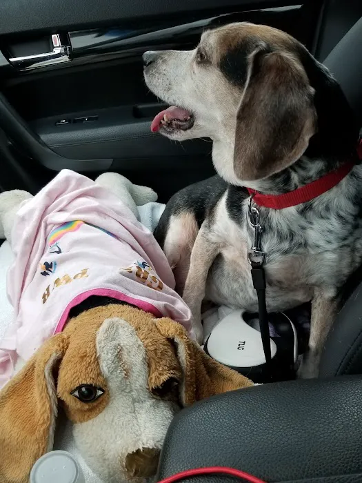 Haven Animal Hospital 7