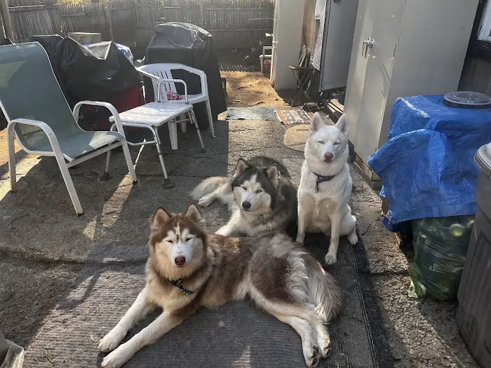 Haven Animal Hospital 6