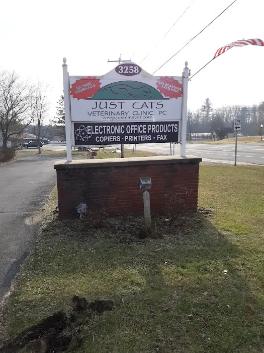 Just Cats Vet 10