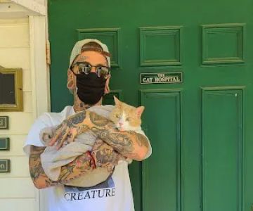 Cat Hospital Of Canterbury - Christine Madaski DVM