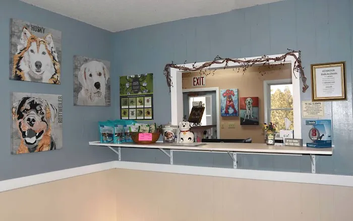 Pachaug Animal Hospital 10