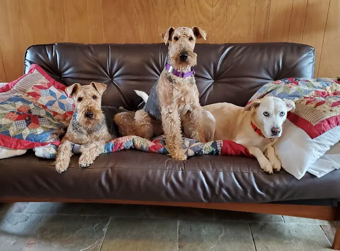 Stonington Veterinary Hospital 7