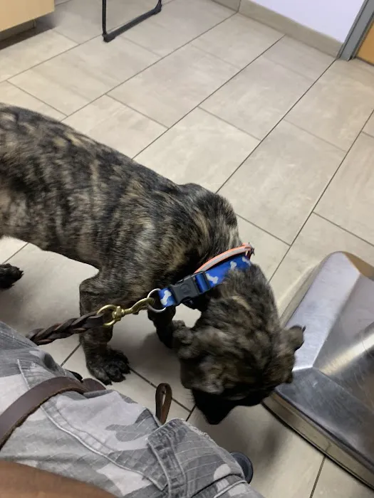 VCA Plainfield Animal Hospital 8