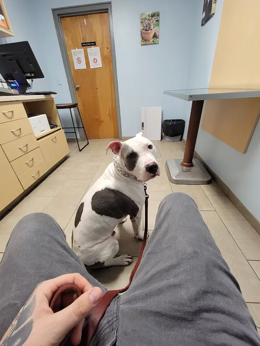 VCA Plainfield Animal Hospital 4