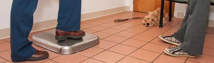 VCA Plainfield Animal Hospital 2