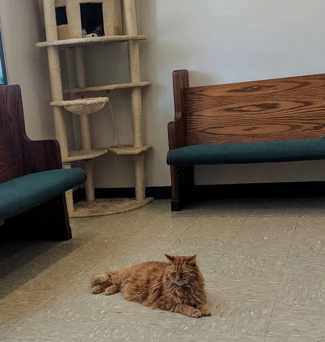 Pawcatuck Veterinary Clinic 8