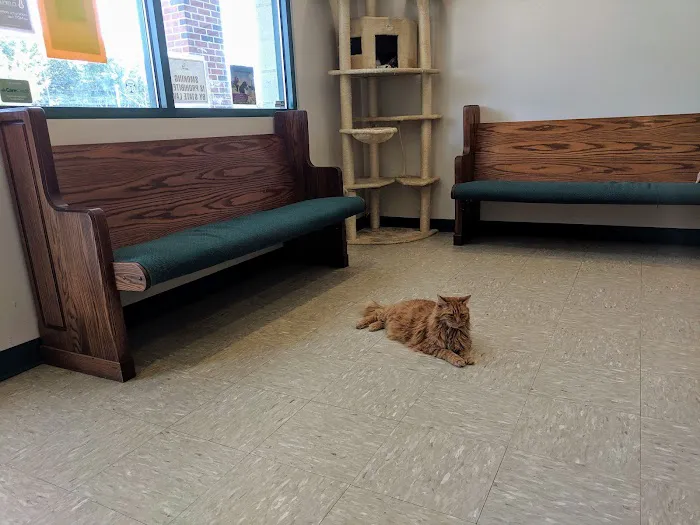 Pawcatuck Veterinary Clinic 5