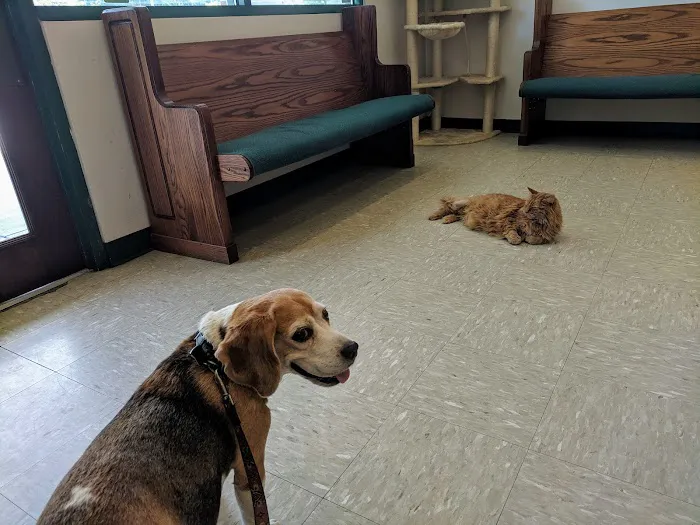 Pawcatuck Veterinary Clinic 4