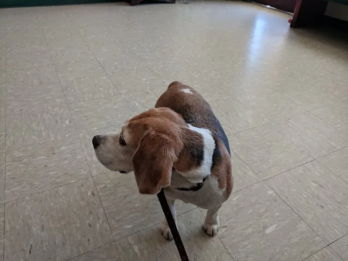 Pawcatuck Veterinary Clinic 7
