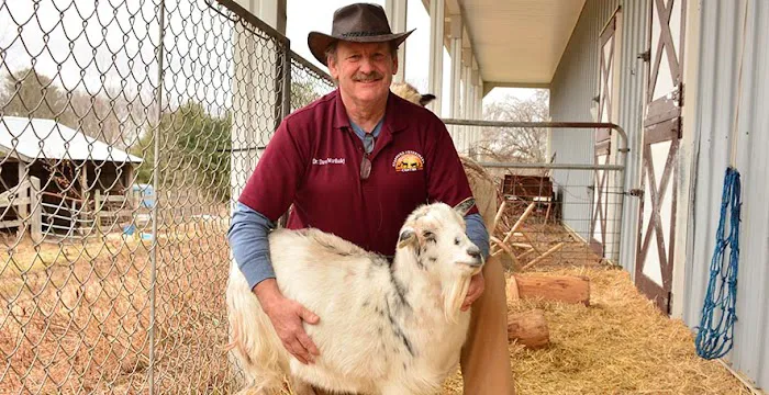 Stafford Veterinary Center 4