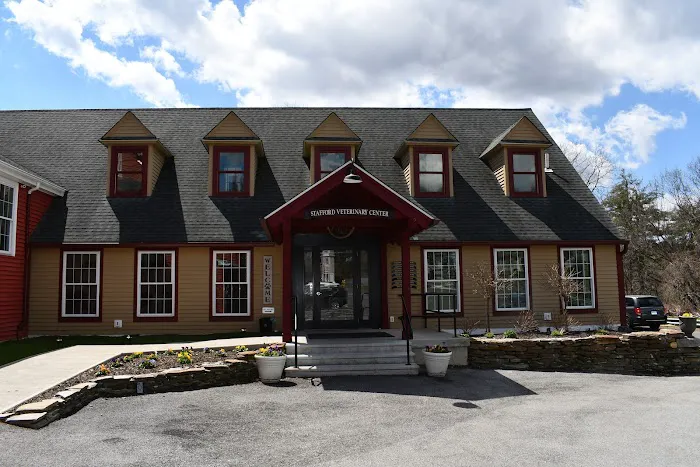Stafford Veterinary Center 8