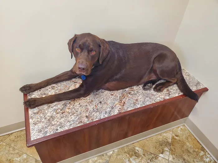 Fenton River Veterinary Hospital- Stafford CT 7