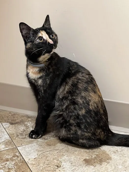 Fenton River Veterinary Hospital- Stafford CT 6