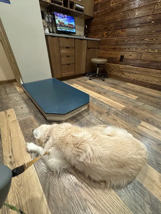 Noah's Ark Animal Hospital 9