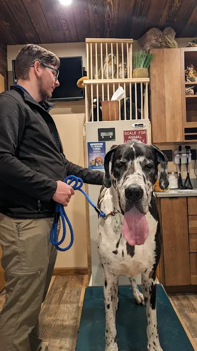 Noah's Ark Animal Hospital 2