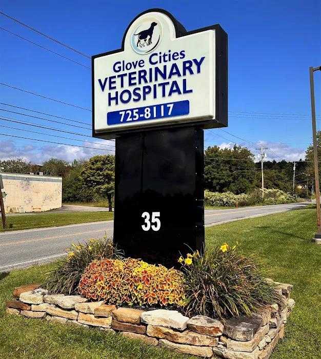 Glove Cities Veterinary Hospital 10