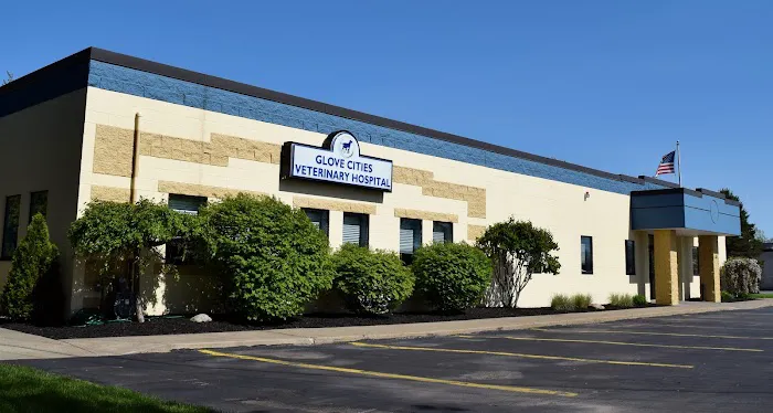 Glove Cities Veterinary Hospital 9
