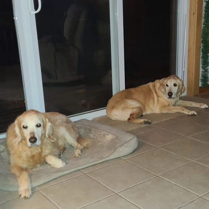 Cobleskill Veterinary Clinic 6