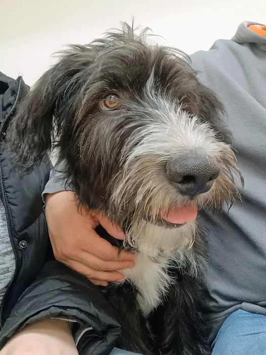 Animal Medical Center 7