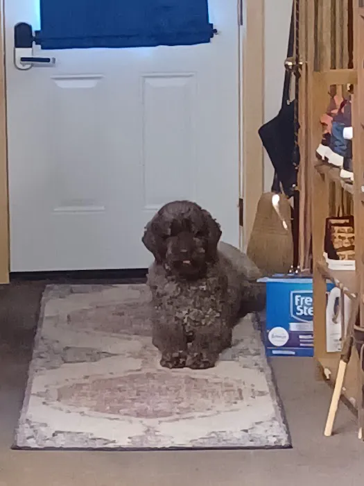 Countryside Veterinary Clinic - Boonville 3