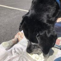 Countryside Veterinary Clinic - Boonville ico