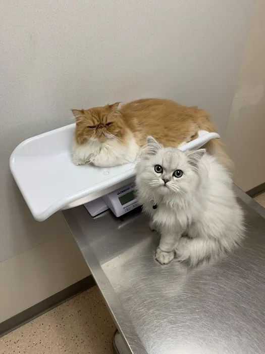 Nottingham Pet Clinic 7