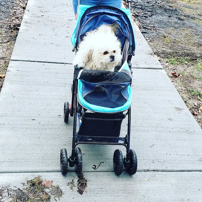 Town & Country Hospital for Pets 9