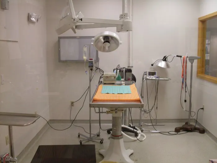 Shop City Animal Hospital 8