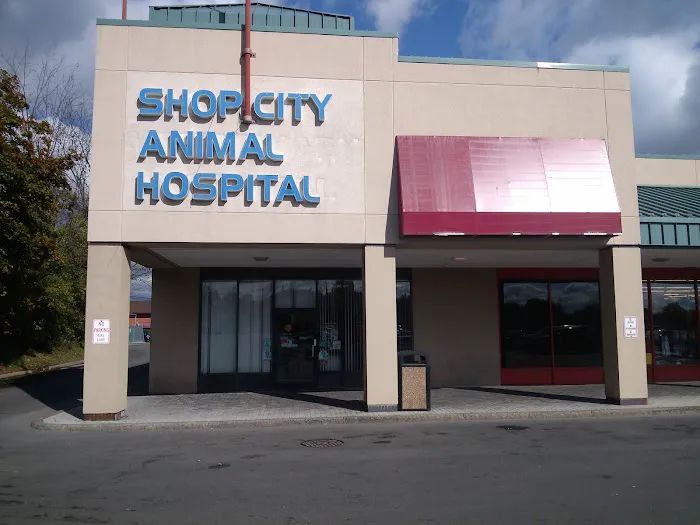 Shop City Animal Hospital 5