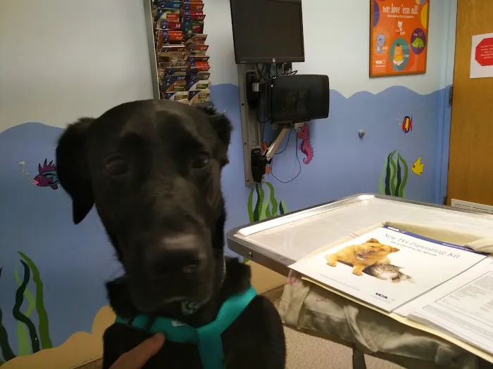 Shop City Animal Hospital 3