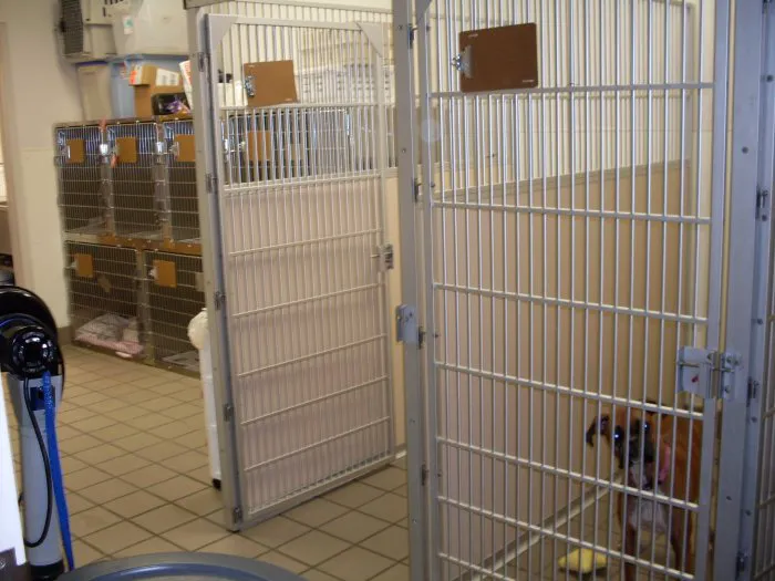 Shop City Animal Hospital 7
