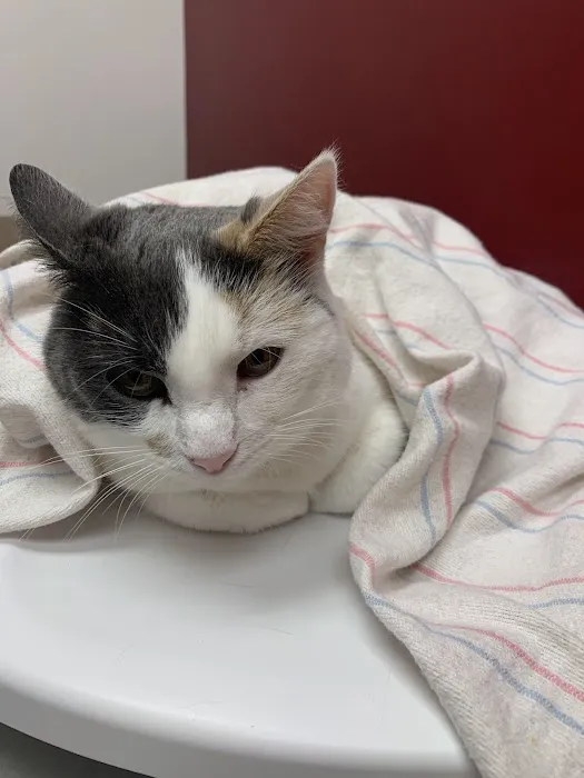 Shop City Animal Hospital 1
